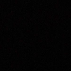 Meet your Posher, Ella